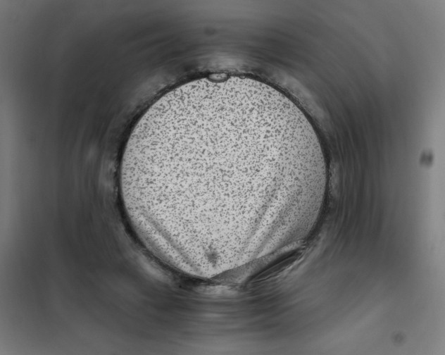 X0000101440449200808041218