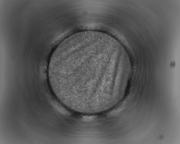 X0000101440450200808041218