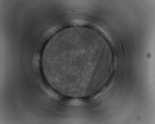 X0000101440451200808041218