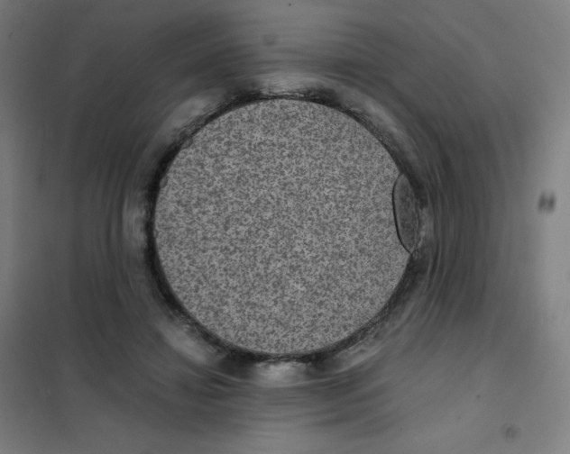 X0000101440452200808041219