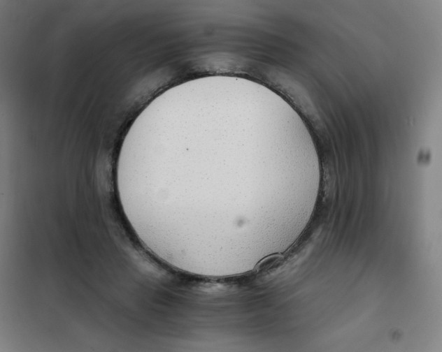 X0000101440453200808041219