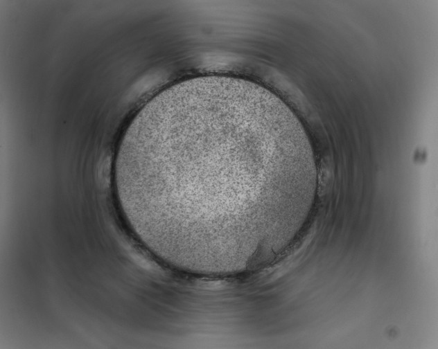 X0000101440454200808041219