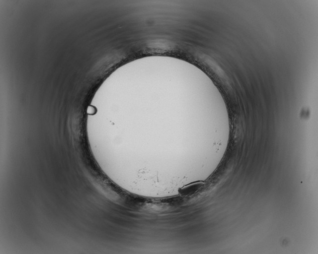 X0000101440455200808041219