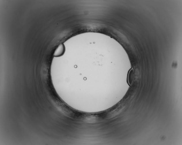X0000101440456200808041219