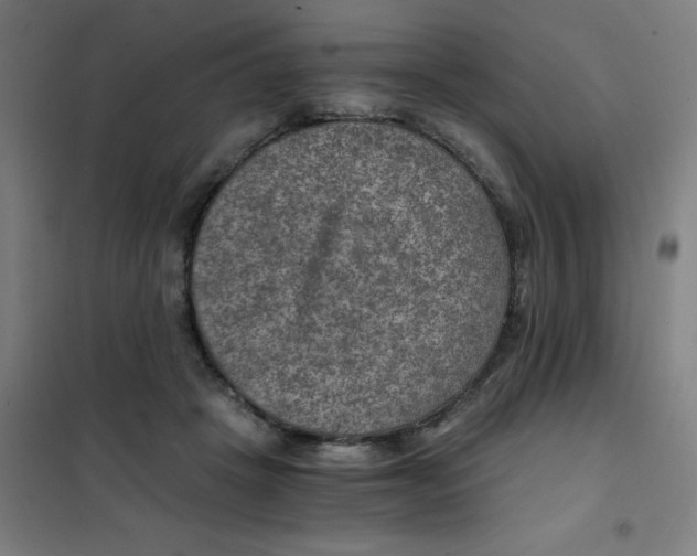 X0000101440457200808041219