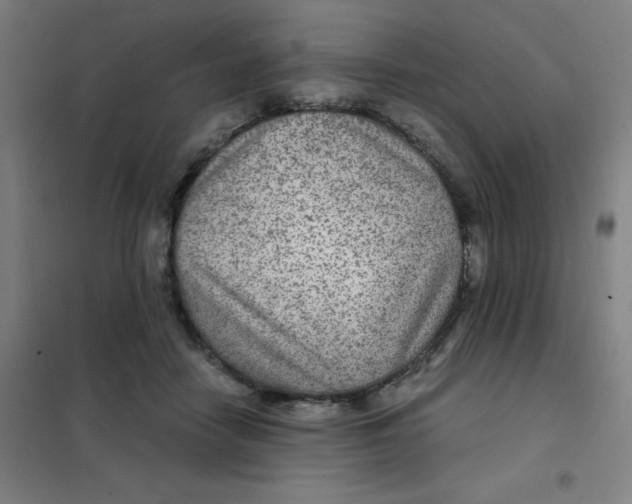 X0000101440458200808041219