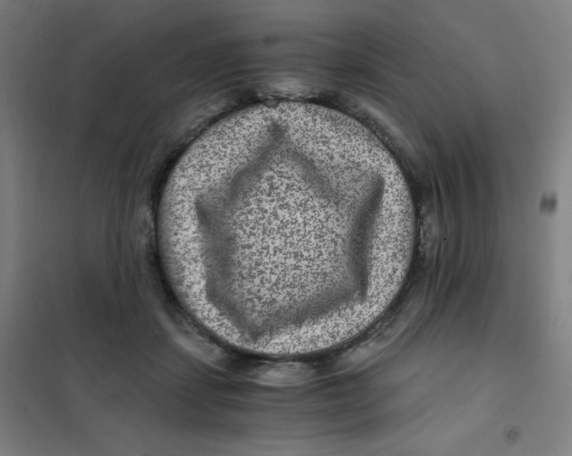 X0000101440459200808041219