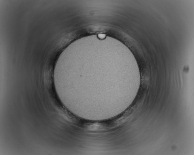 X0000101440460200808041219
