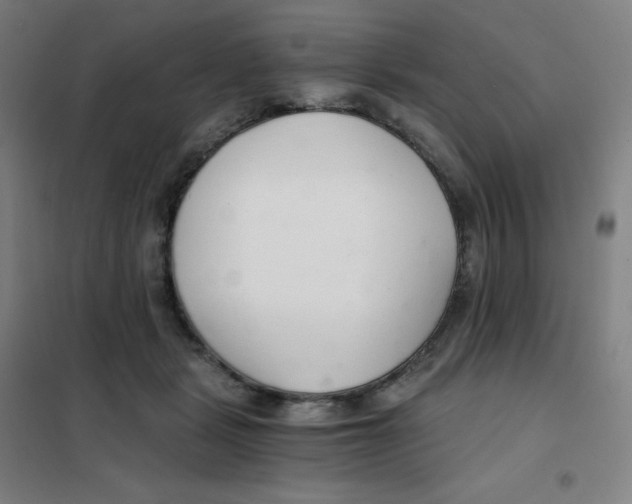 X0000101440461200808041219