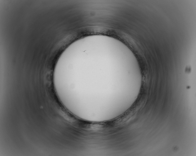 X0000101440462200808041219