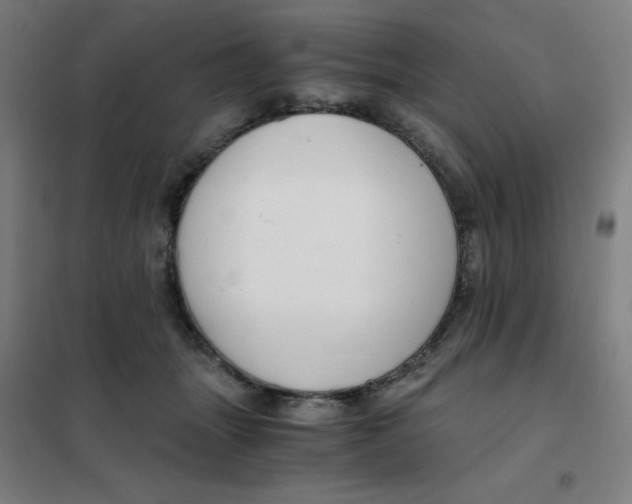 X0000101440463200808041219