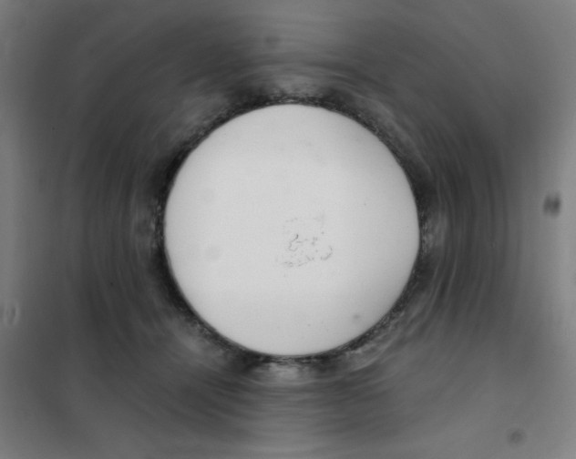 X0000101440464200808041219
