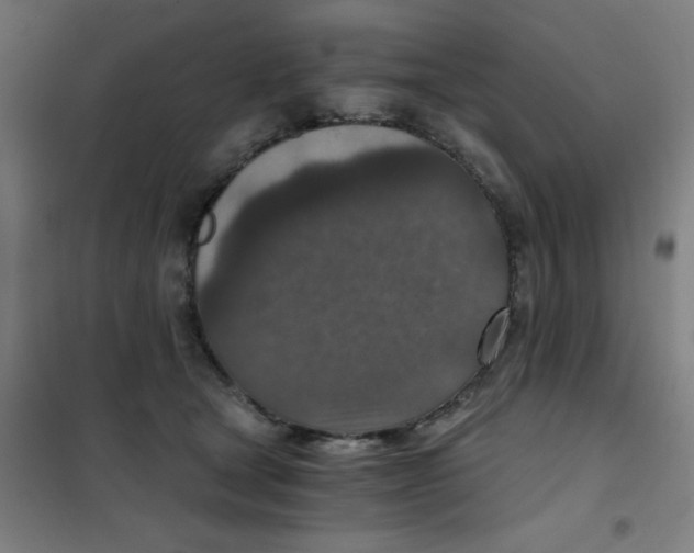 X0000101440465200808041219