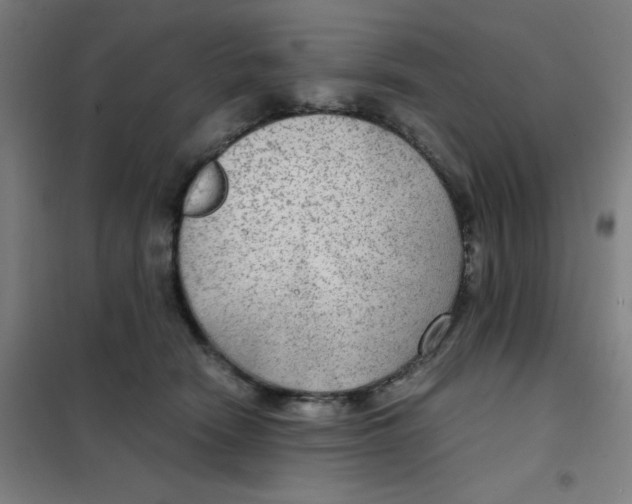 X0000101440466200808041219