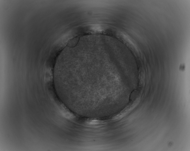 X0000101440467200808041219