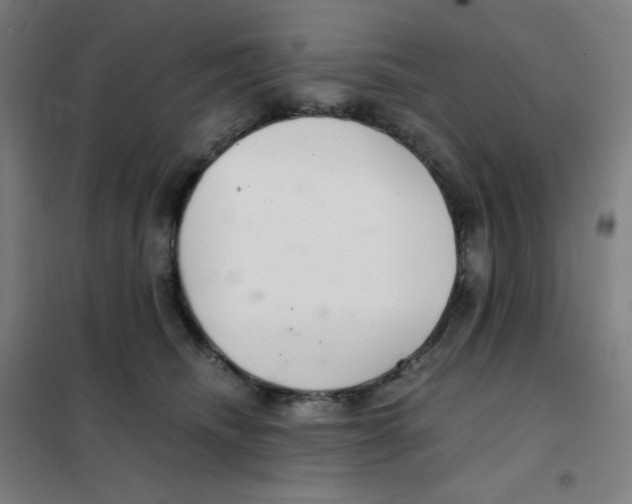 X0000101440468200808041219