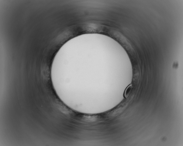 X0000101440469200808041219