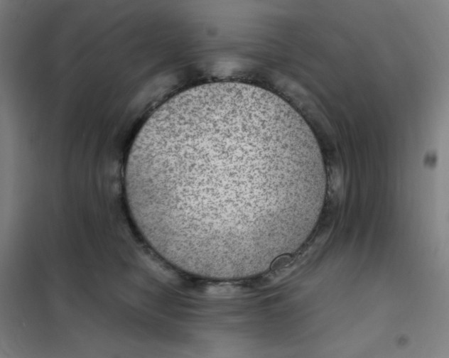 X0000101440470200808041219