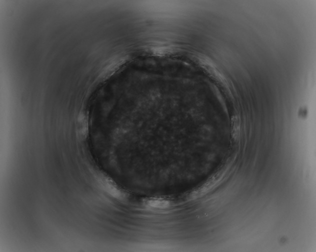 X0000101440471200808041219