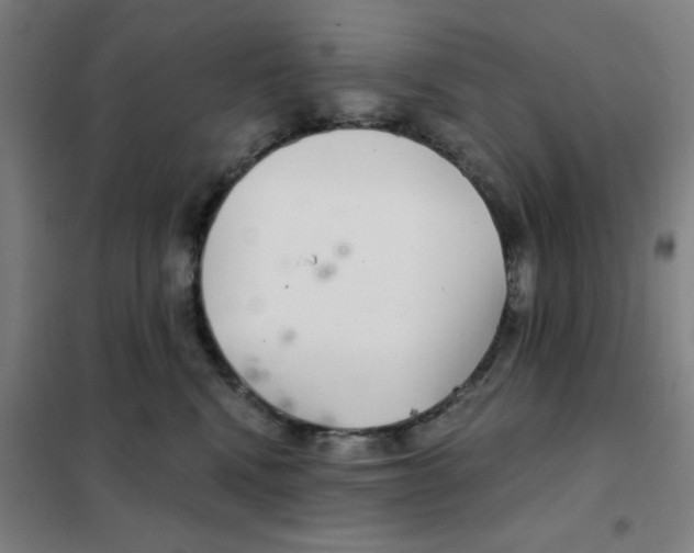 X0000101440472200808041219