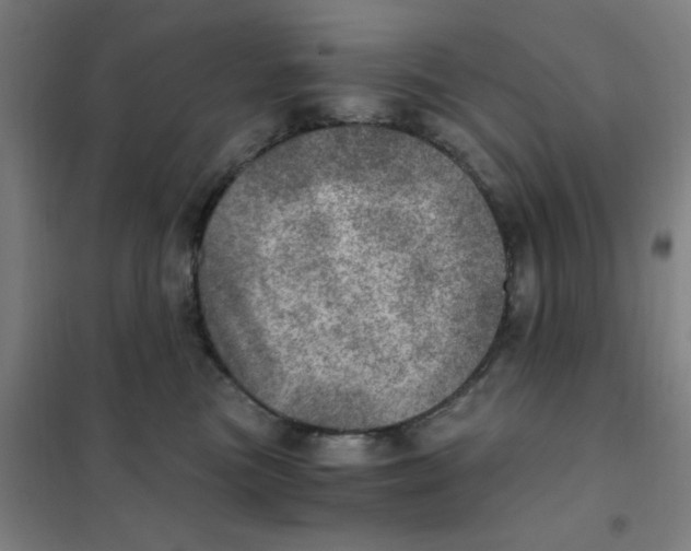 X0000101440473200808041219