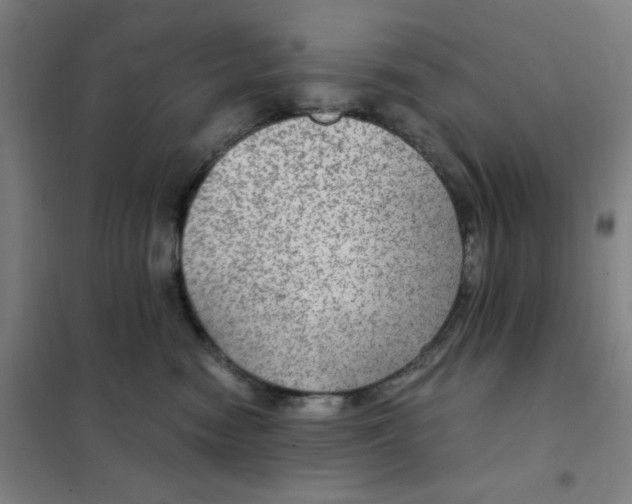 X0000101440474200808041219