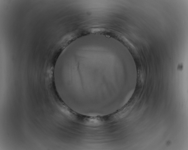 X0000101440475200808041219