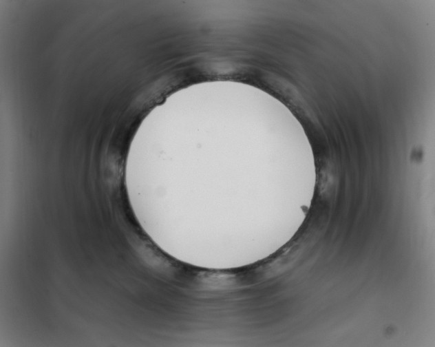 X0000101440476200808041219