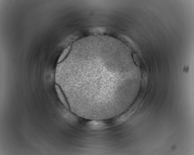 X0000101440477200808041219