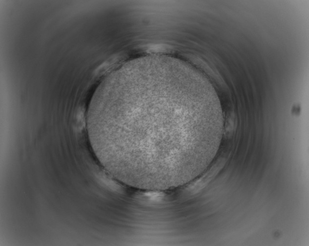 X0000101440478200808041219