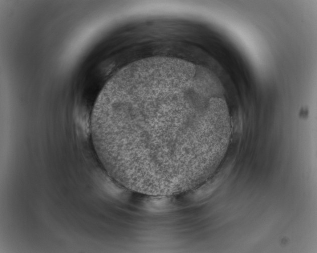 X0000101440479200808041219