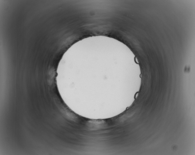 X0000101440480200808041219