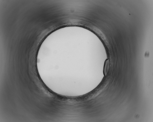 X0000101440481200808041218