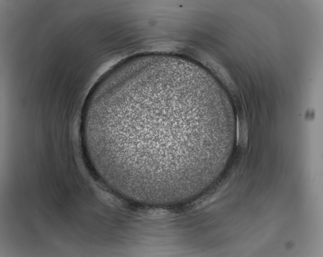 X0000101440483200808041218