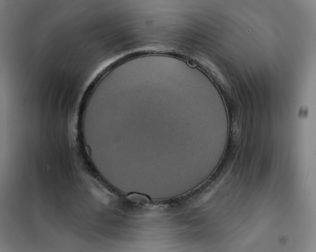 X0000101440484200808041218