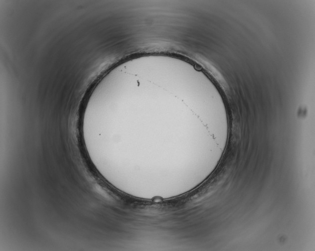 X0000101440485200808041218