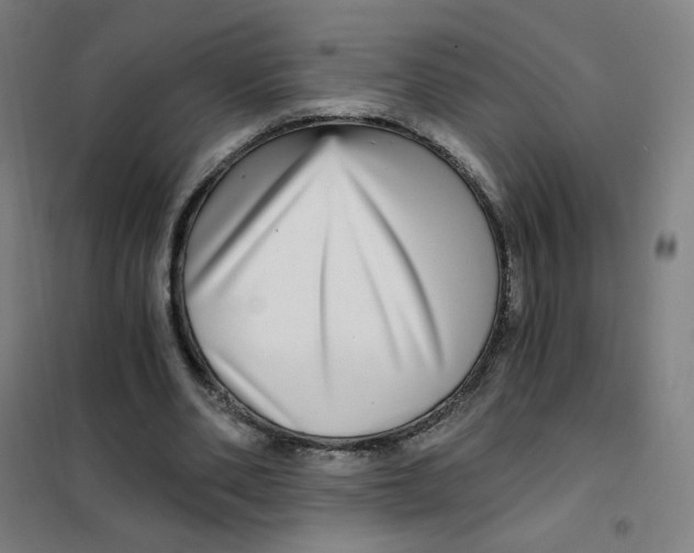 X0000101440486200808041218