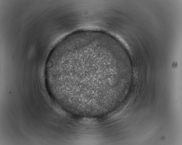 X0000101440487200808041218