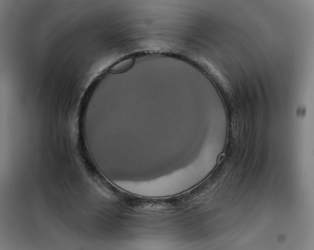 X0000101440488200808041218