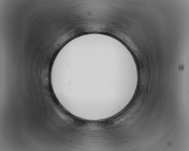X0000101440489200808041218
