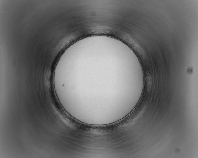 X0000101440490200808041218