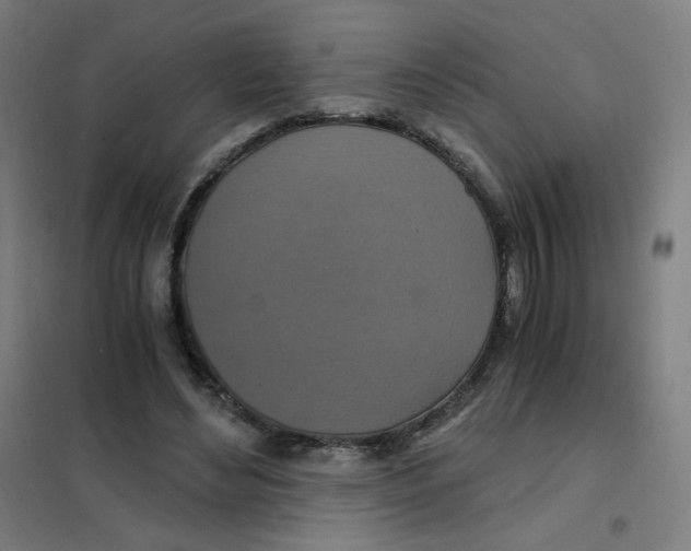 X0000101440492200808041218