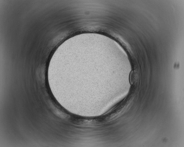 X0000101440493200808041218