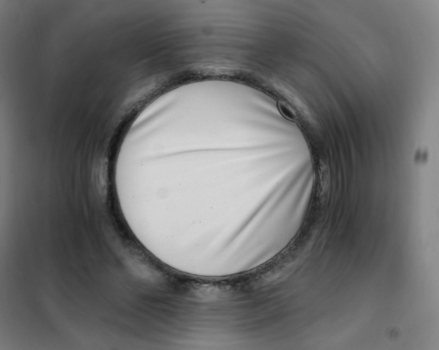 X0000101440494200808041218