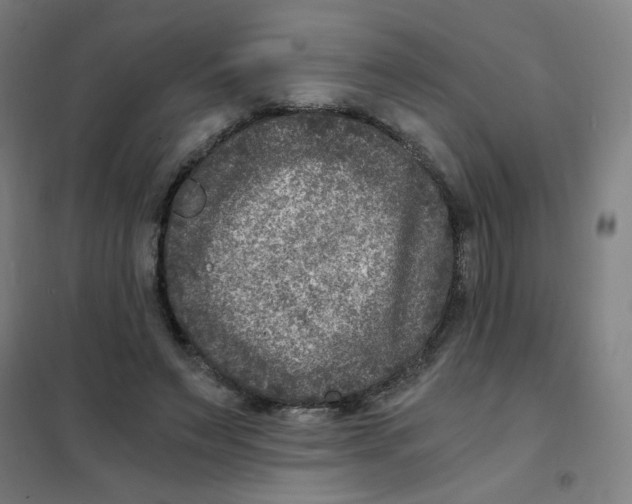 X0000101440495200808041218