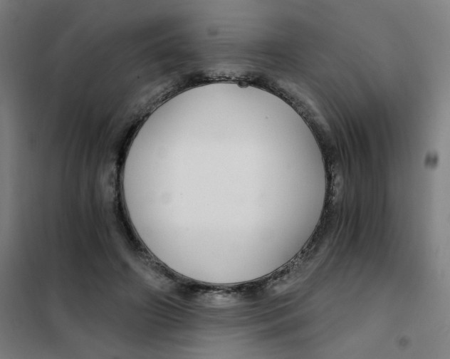 X0000101440498200808041218