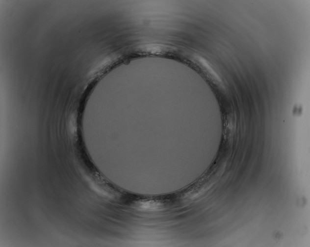 X0000101440500200808041218