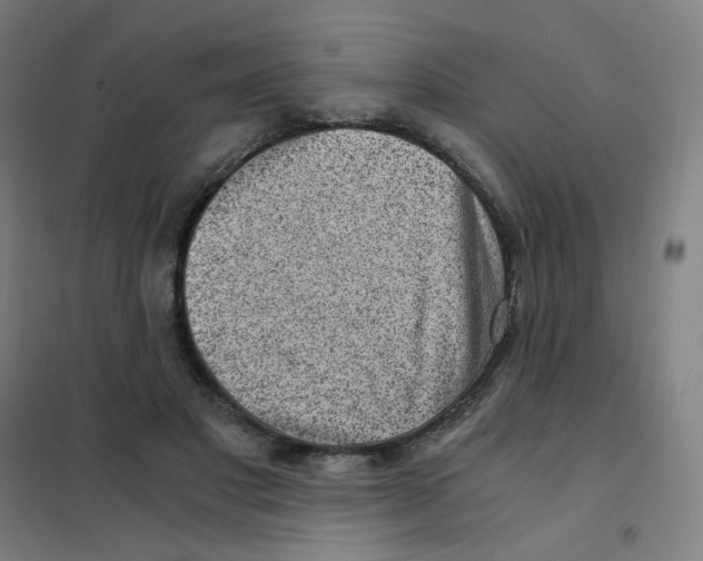 X0000101440501200808041218