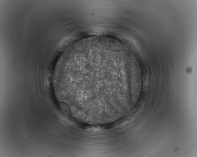 X0000101440503200808041218