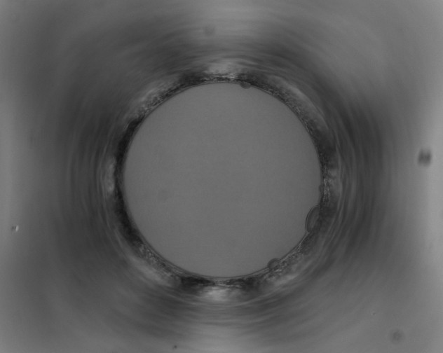 X0000101440504200808041218